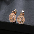 Special-interest Simple Temperamental And Personalized Zircon Earrings - Norellé
