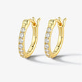 925 Silver Earrings European And American Ins Style Niche - Norellé